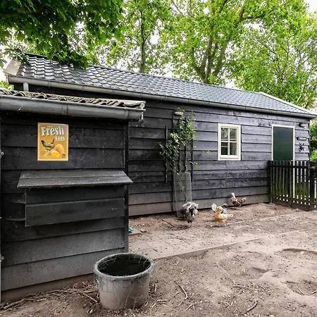 Cottage 'Onder De Boompjes' Oostwoud Exterior photo