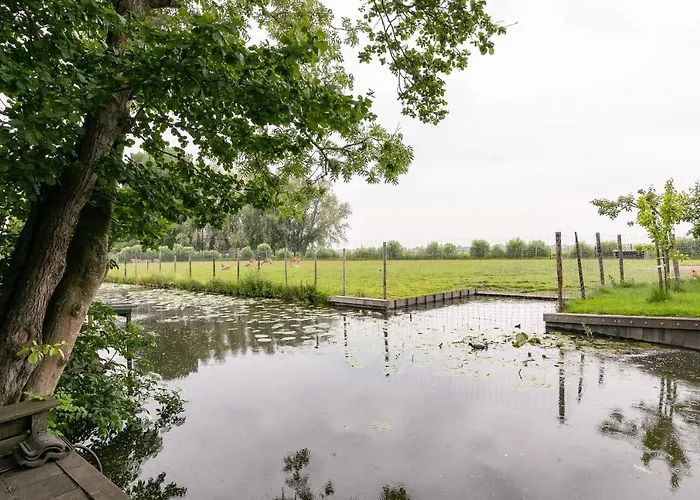 Cottage \'Onder De Boompjes\'